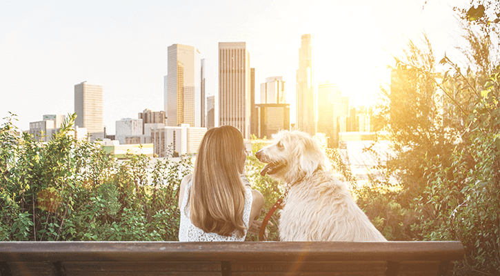 Euthanasia/End Of Life Care